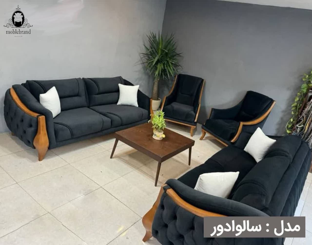 مبلمان سالوادور مبل سالوادور